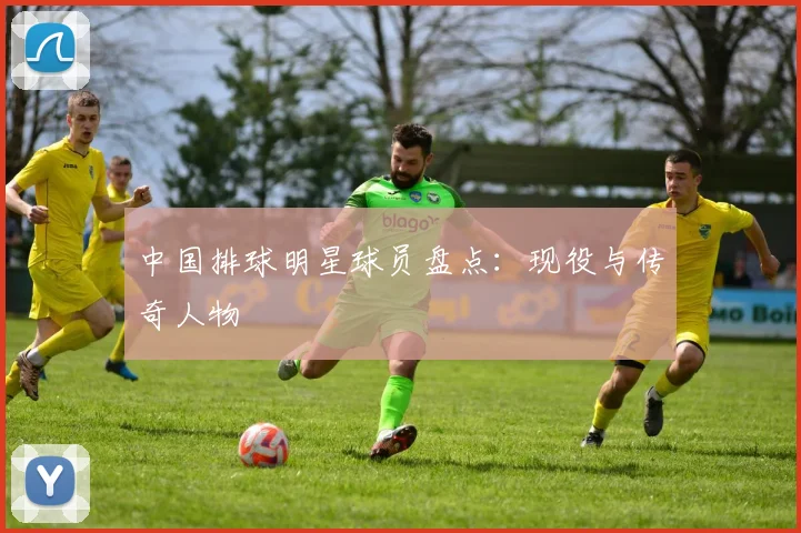 中国排球明星球员盘点：现役与传奇人物