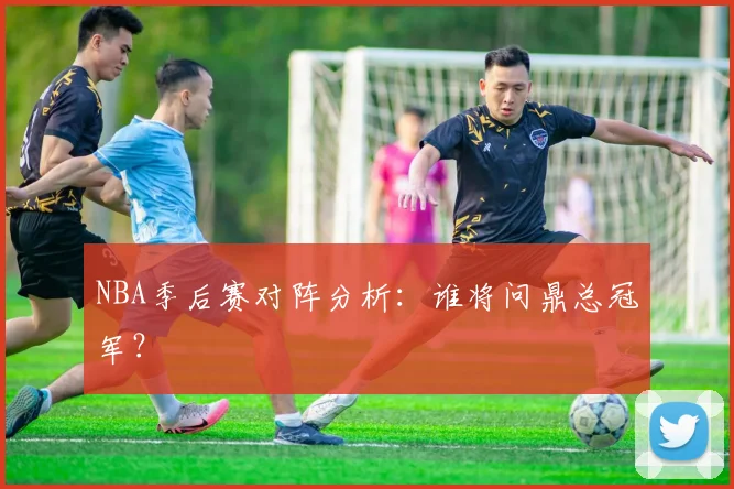 NBA季后赛对阵分析：谁将问鼎总冠军？