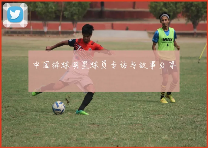 中国排球明星球员专访与故事分享