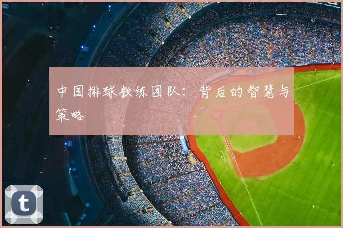 中国排球教练团队：背后的智慧与策略