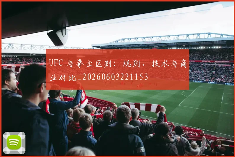 UFC 与拳击区别：规则、技术与商业对比_20260603221153