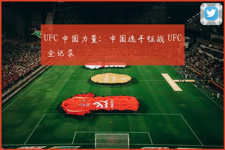 UFC 中国力量：中国选手征战 UFC 全记录