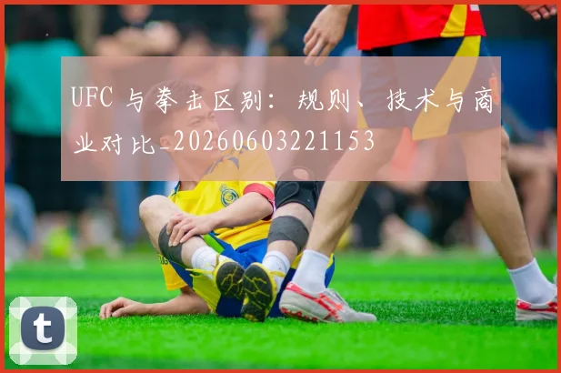 UFC 与拳击区别：规则、技术与商业对比_20260603221153