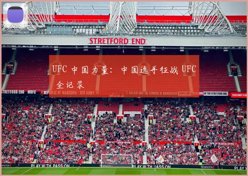 UFC 中国力量：中国选手征战 UFC 全记录