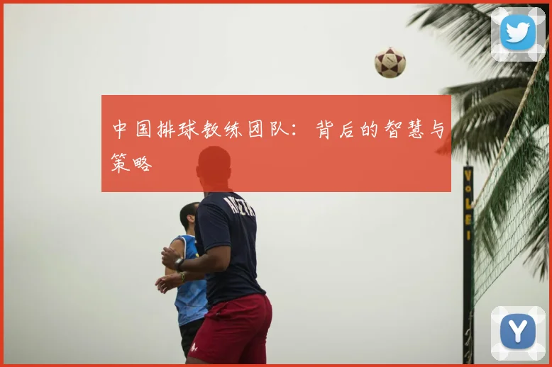 中国排球教练团队：背后的智慧与策略
